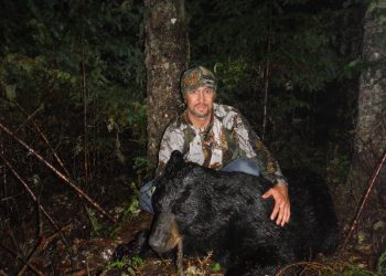 Black bear hunting at Kaby Lodge