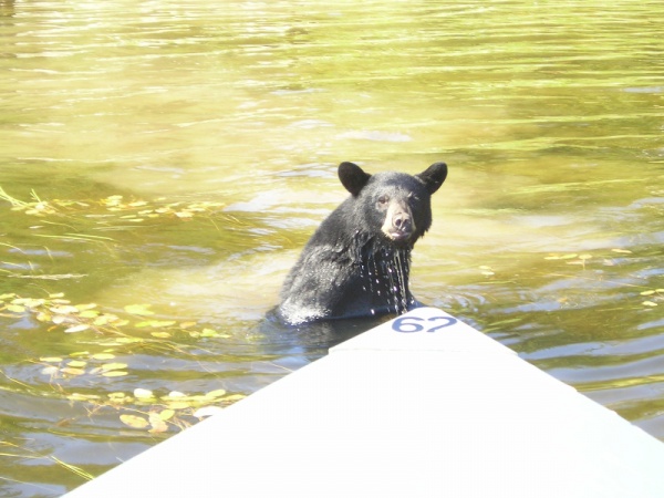 Wilderness Experiences