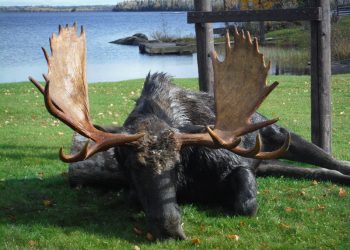 Moose hunting at Kaby Lodge