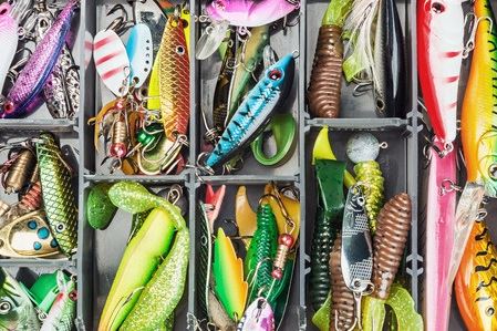 Bait or Lures: What's the Best Approach